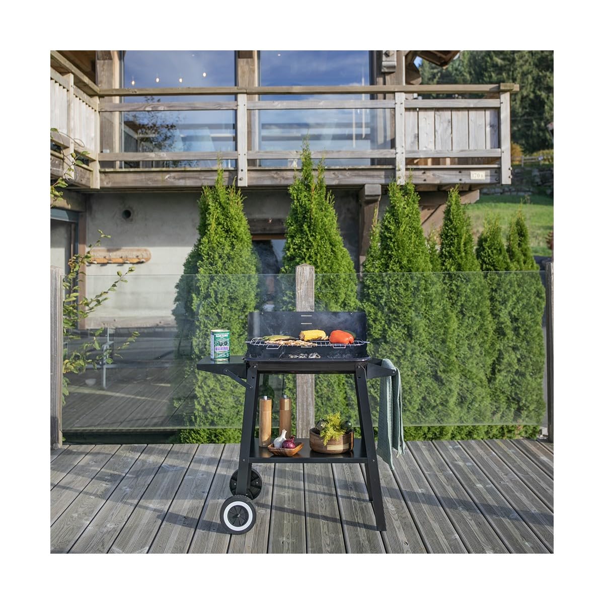 Livoo - Barbacoa de carbón DOC328-48,5x28,8 cm de cocina, 5 niveles de cocina, acero pintado, rejilla de acero cromado