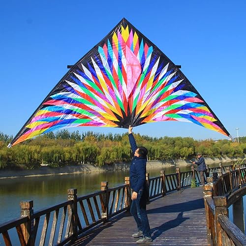 Cometa Delta colorida de 16 pies, cometa triangular para diversión al aire libre, fácil vuelo, tema floral, material de poliéster, varios colores