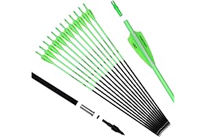 Sanlida 30 Inch Carbon Arrows with Fluorescence Color Tips