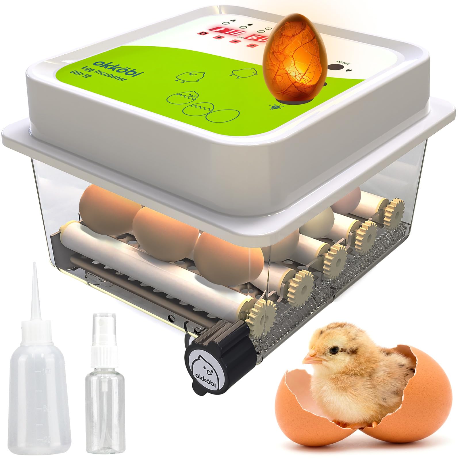 Amazon.com: OBI-12 Egg Incubator, Humidity Control, Dozen Eggs