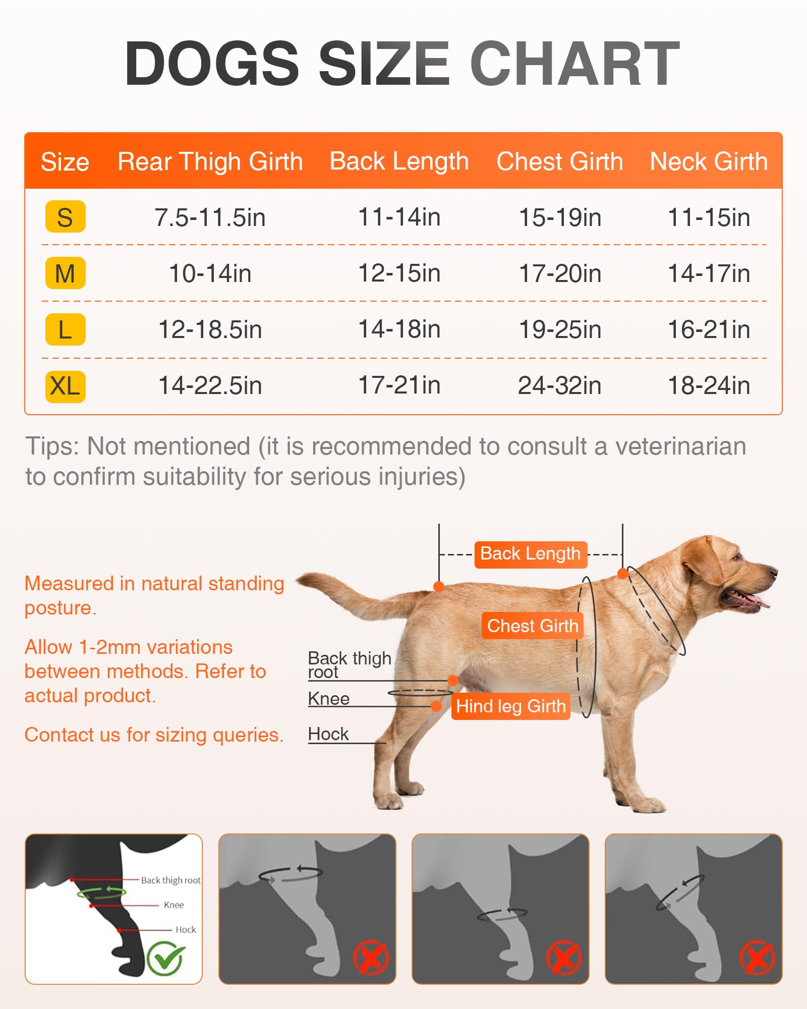 LISPOO Full Body Lift Harness for Dogs-Hind Leg Support Sling for Dogs with Hip Dysplasia Arthritis-Adjustable Recovery Harness-Stability Assistance & Walking Help with Easy Lift Handle M-Size - Image 3