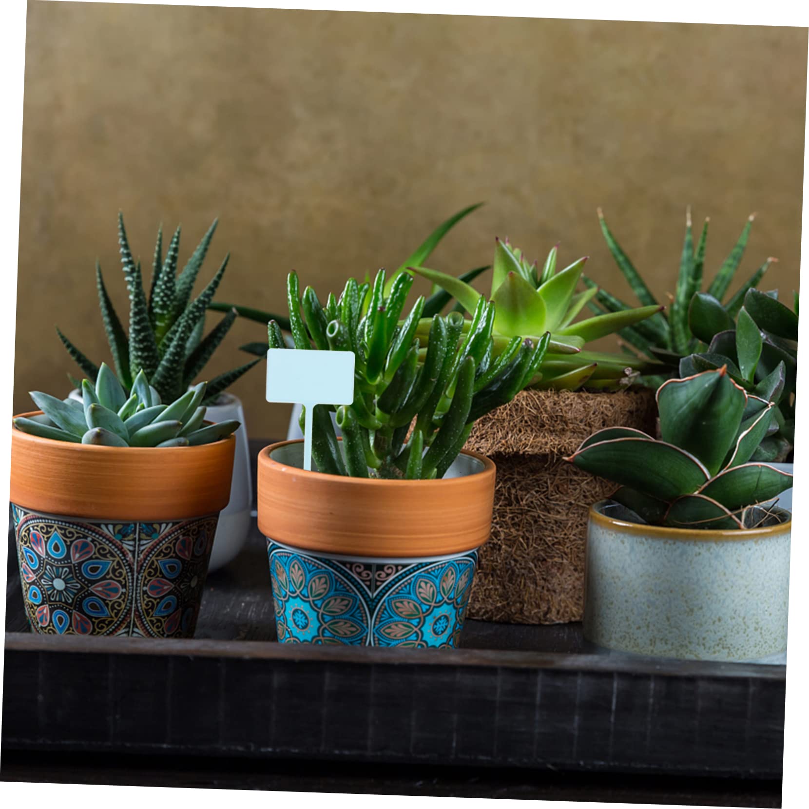 5 Set Etichette Per Piante Cartellini Per Giardinaggio Indicatori Naturali Per Piante Per Diy E Decorazioni Resistente E Facile 24 Pezzi * 5
