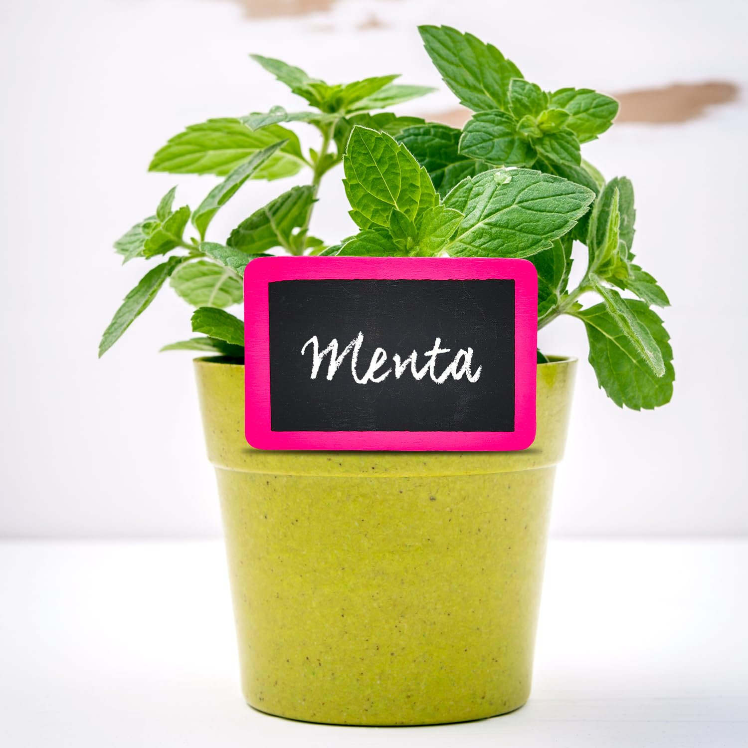 Leddy Living Set of 6 Wooden Plant Labels with Clips, Writable Plant Markers with Marker or Chalk - Image 3