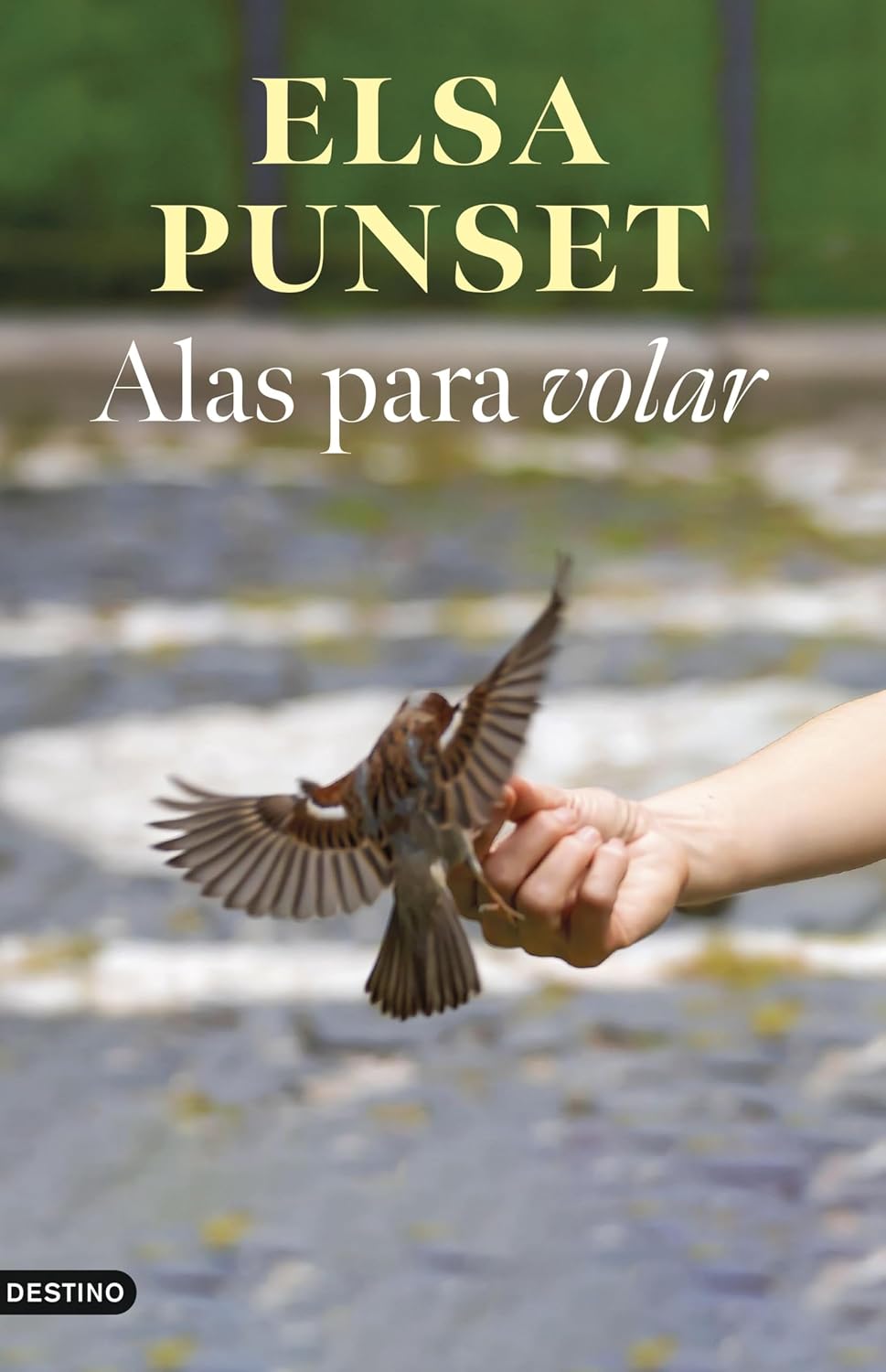 Alas para volar: Una guía transformadora para volver a empezar (Imago Mundi) (Spanish Edition)