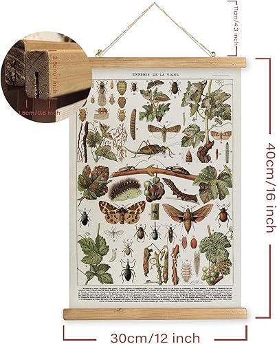 Miniatura 2 de MIDEFINCH Póster vintage de pared de insectos con marco de madera, ilustración de historia natural, impresión en lienzo de Ennemis de la Vigne,