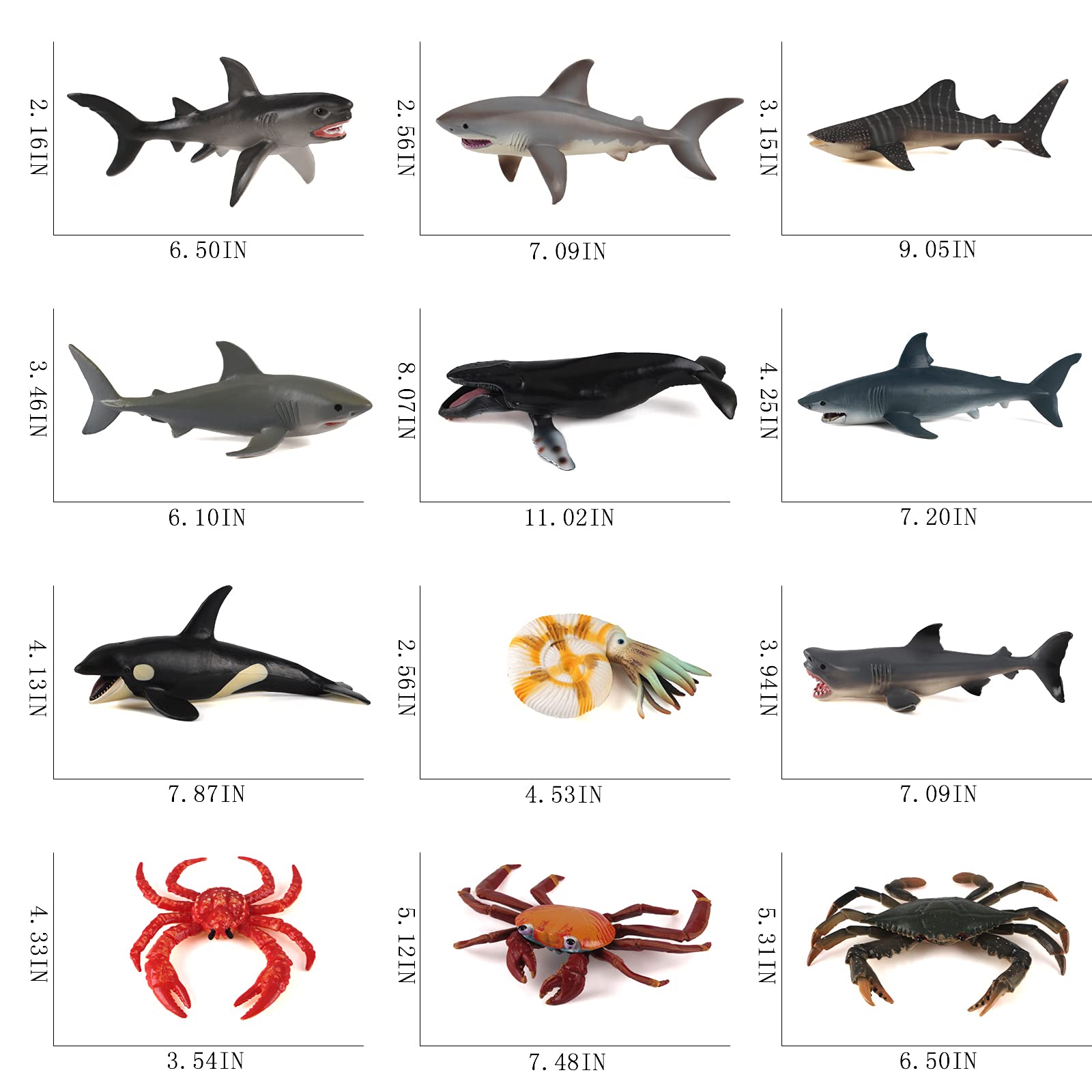 Amazon.co.jp: Fantarea 海の海洋動物モデル 海の生き物 シー