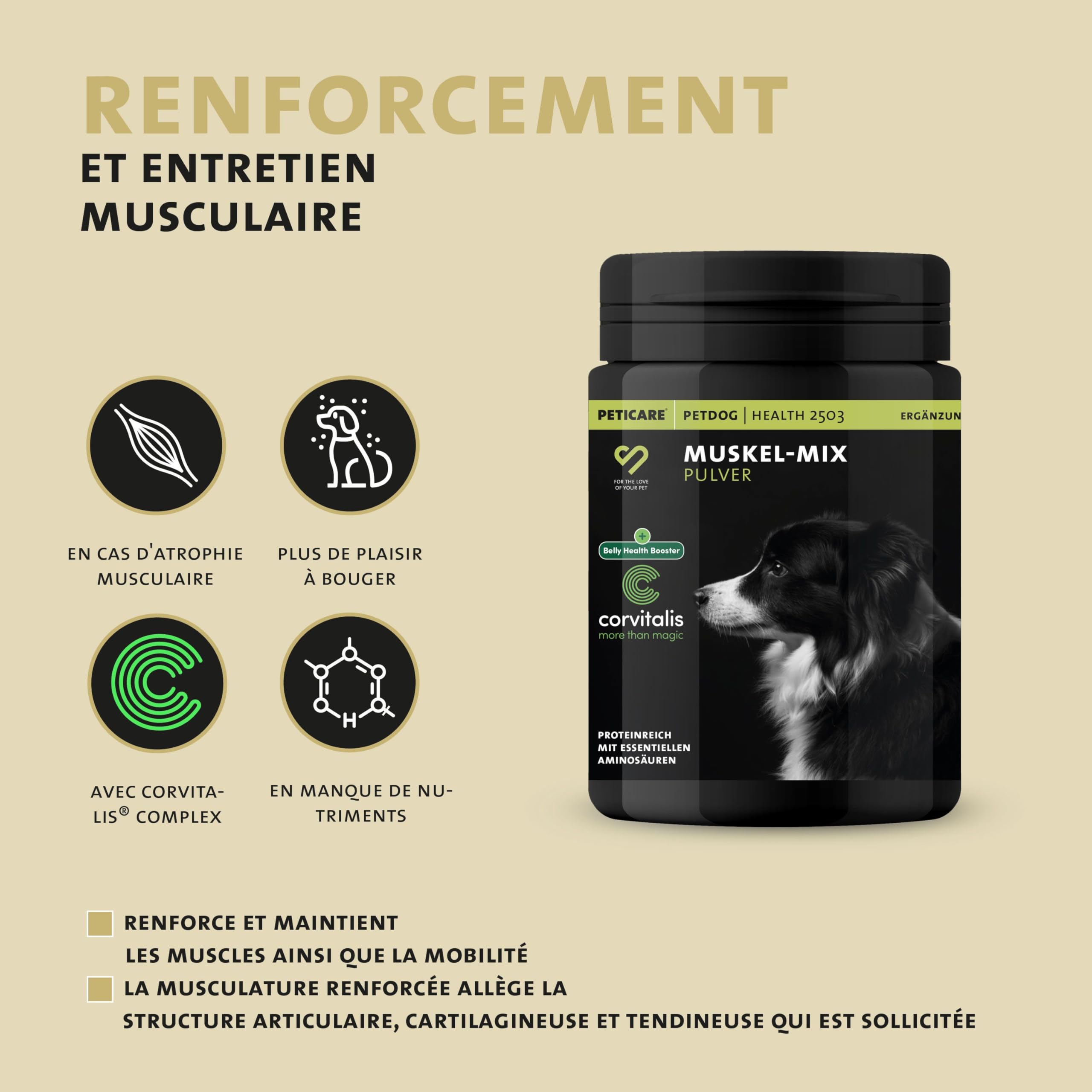 Peticare Mélange Muscles & Activité pour Chiens | Complément Alimentaire avec collagène & acides aminés | Soutien de la mobilité & de la vitalité | pour Chiens Actifs & Seniors | petDog Health 2503