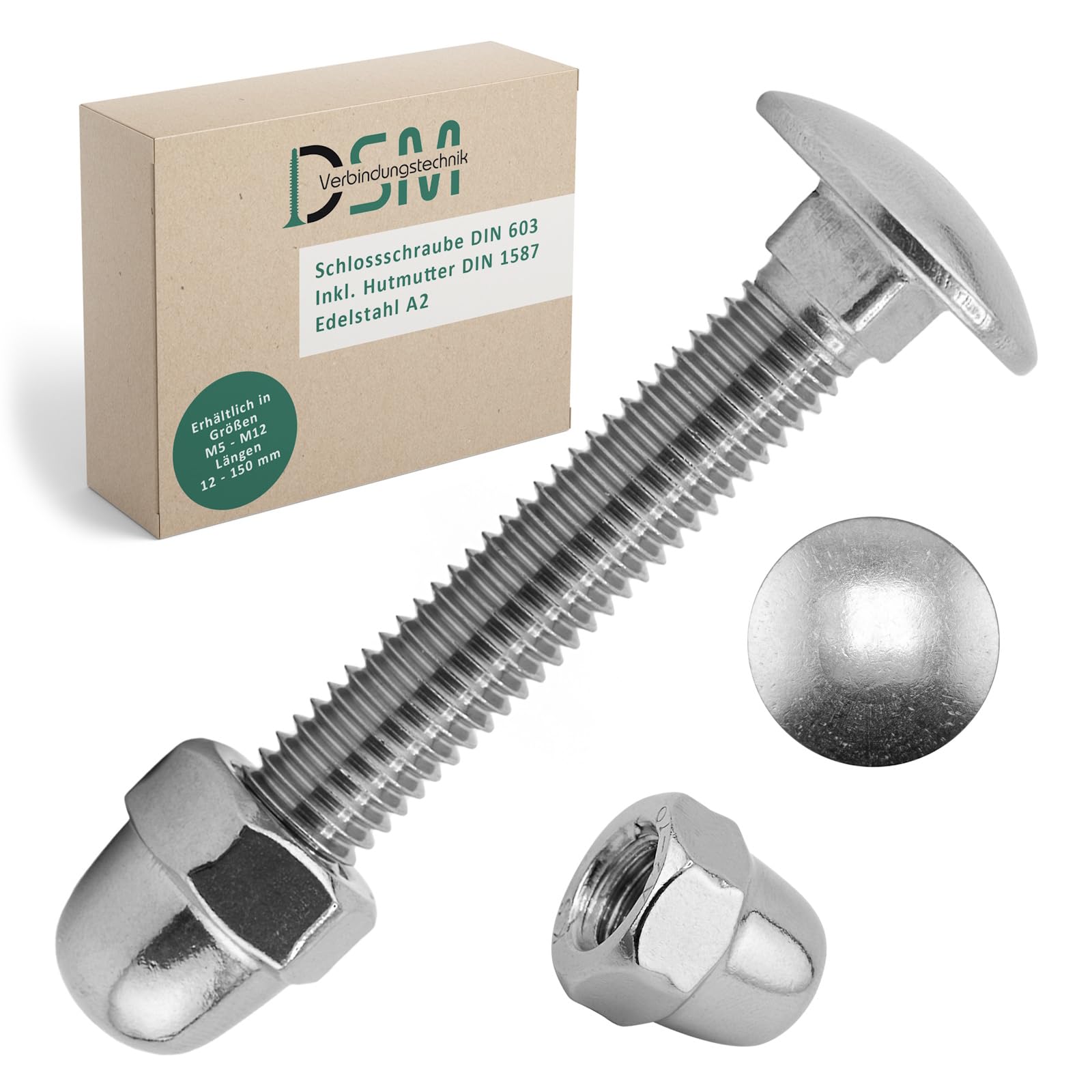 DSM - Viti a testa tonda M12 x 120 mm a norma DIN 603, dado M12, DIN 1587, in acciaio inox A2/V2A, filettatura completa, viti a testa tonda piatta con attacco quadrato, dadi a cupola, forma alta, 10