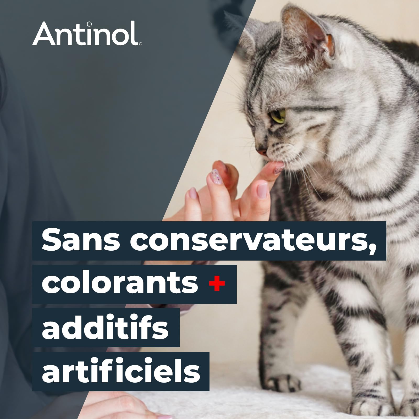 Antinol - Complément Naturel des Chats Adultes - cliniquement prouvé - soutient la mobilité des articulations et la santé de la Peau - avec des moules à lèvres Vertes, oméga 3 & VIT E - 90 Capsules