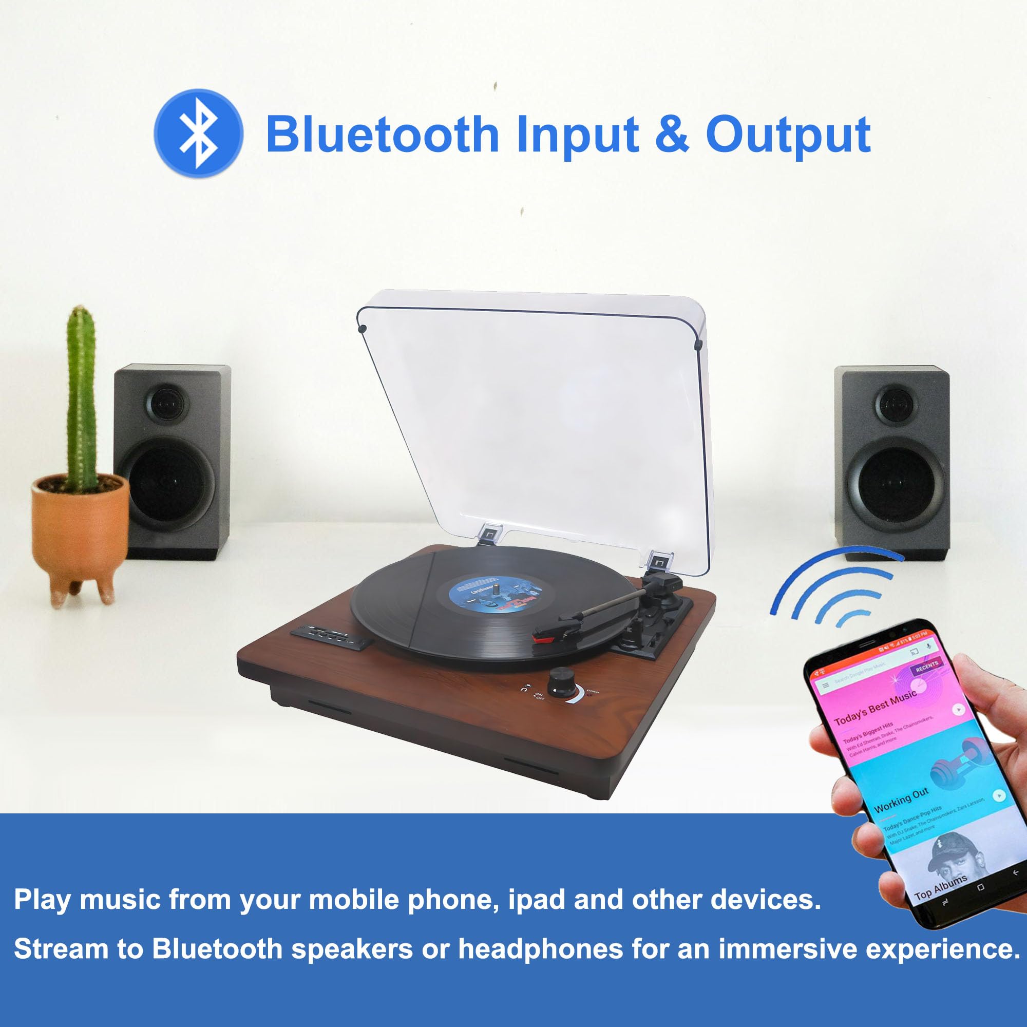 Amazon.com: Vinyl Record Player with Bluetooth Input/Output