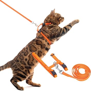 PUPTECK Adjustable Cat Harness and Leash Set Escape Proof Kitten Strap Collar for Walking Travel, Orange