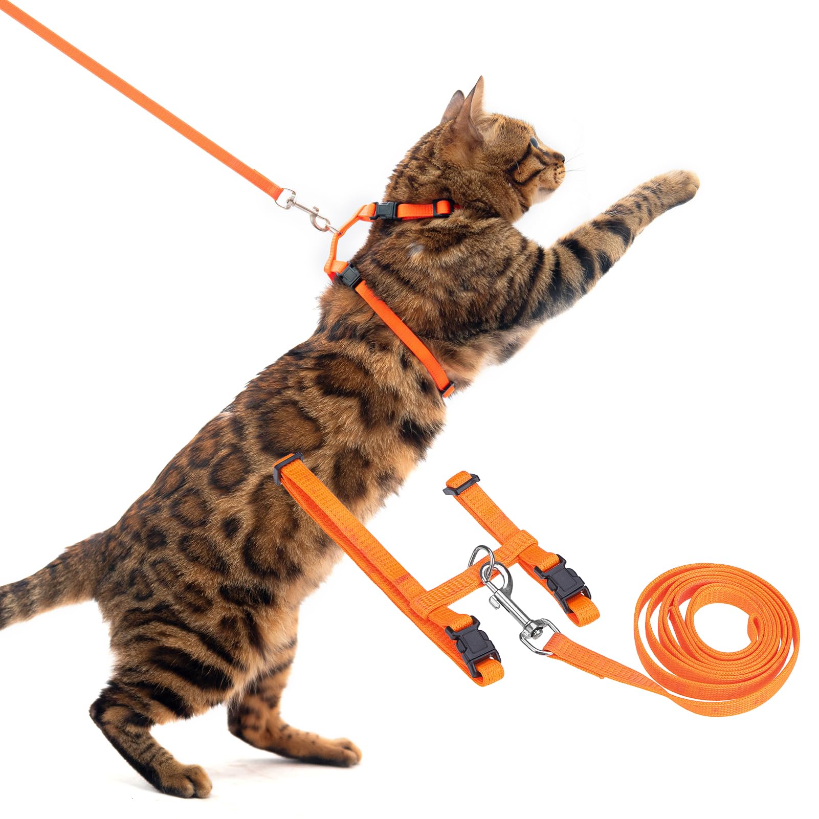 Amazon | PUPTECK 猫 ハーネス リードセット 猫用ハーネス 猫牽引