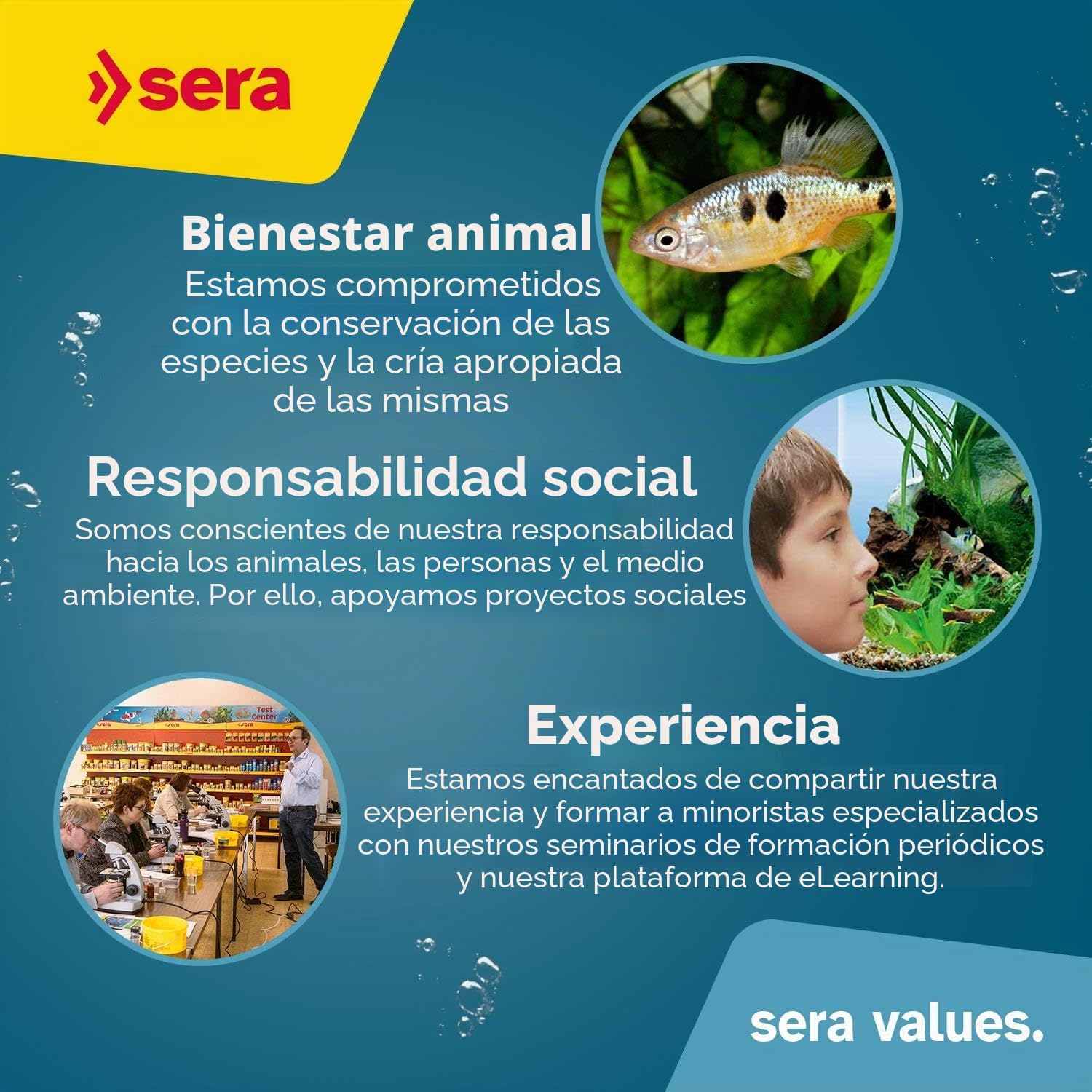 sera Pond Sticks 21 L 3,5 KG | alimento Principal para Peces Grandes del Estanque | Sticks flotantes, Que Mantienen su Forma Durante Mucho Tiempo, para, por Ejemplo, Kois y Carpas Doradas