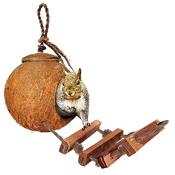 SunGrow Bird House with Ladder, Nesting Home and Bird Feeder, Mini Condo for Avians, Coco Texture Encourage Foot and Beak Exercise, 100% Raw Coconut Husk, Durable Habitat with Hanging Loop