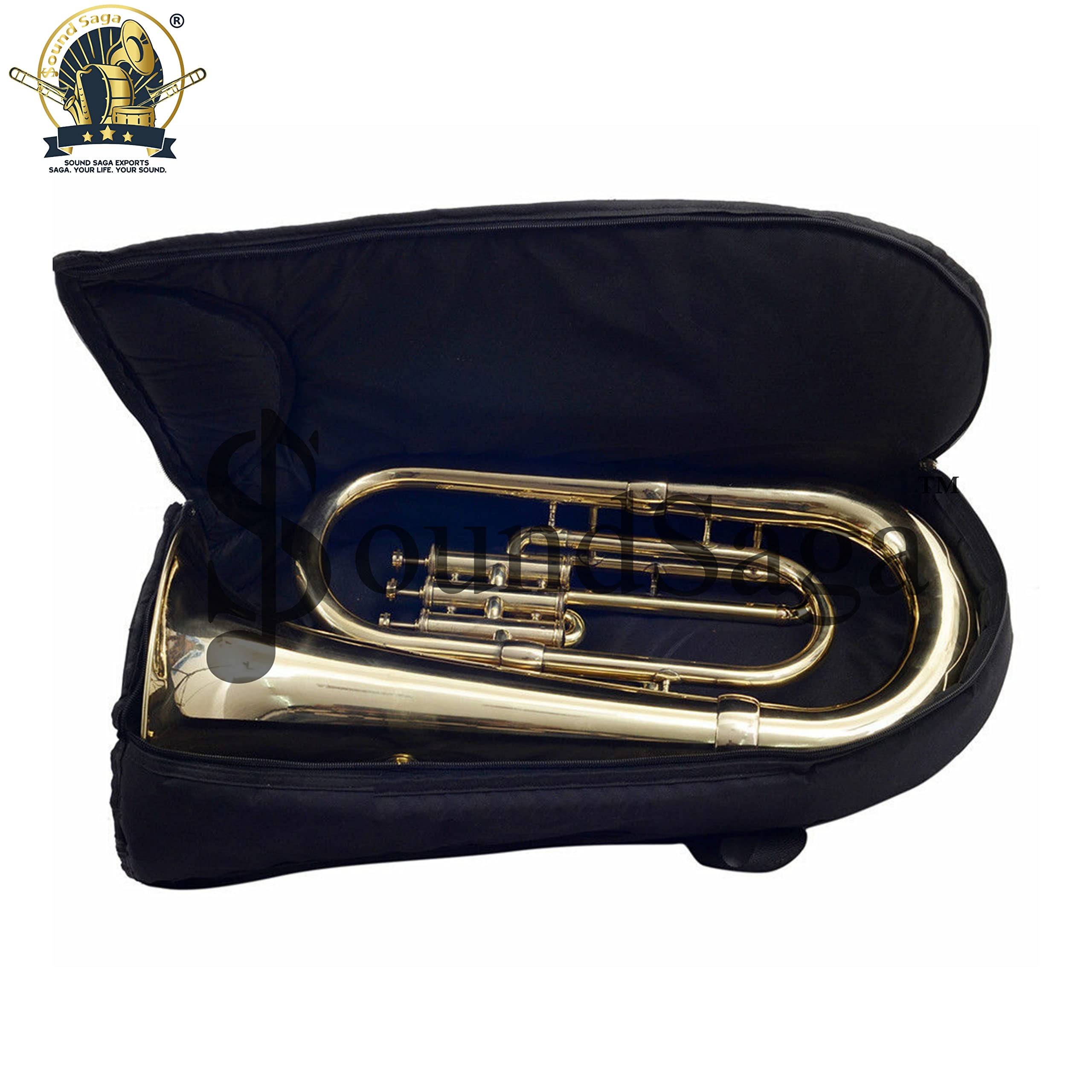 Euphonium 3 Valve Bb Pitch including mouthpiece and carry case (Gold)