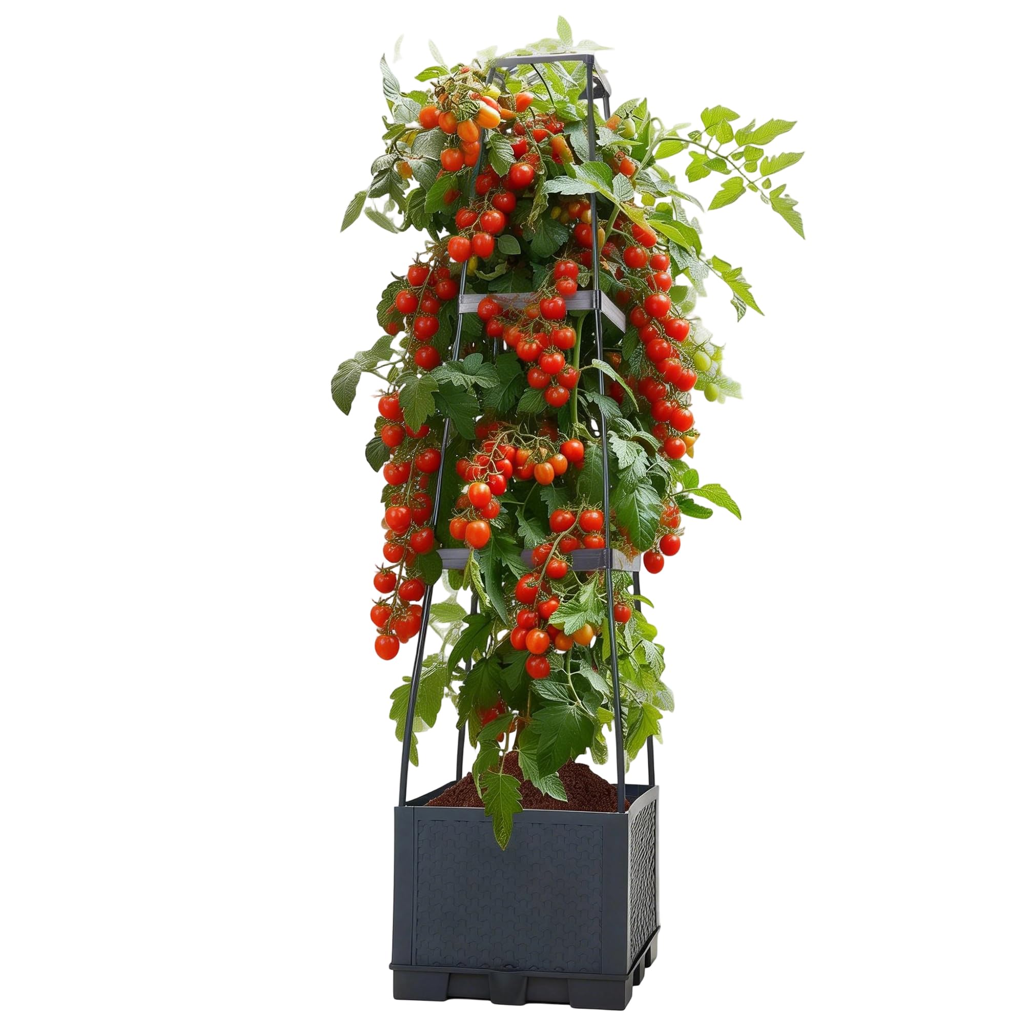 Tomatentopf mit Rankhilfe (28×28×114 cm,14 L), selbstbewässernder Pflanzenturm in Anthrazit. Tomaten & Klettergemüse – platzsparendes Hochbeet für Innenräume