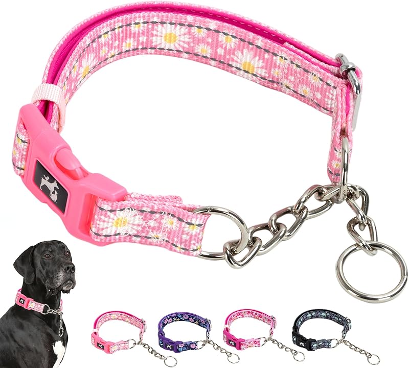 Coleira Martingale para Cães com Corrente de Aço Inoxidável e Faixa Refletiva MAOWUWUJOZ HLL-HJ67