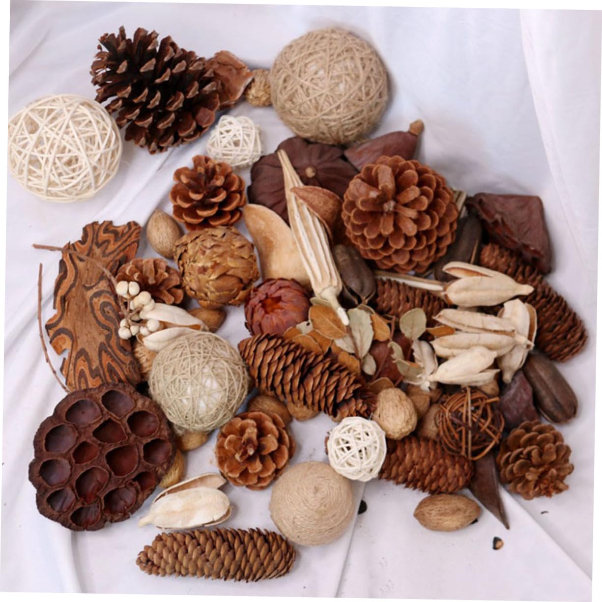 TEHAUX Pigne Natalizie con Rami Secchi Decorazioni Fai da Te Naturali e Leggere per Oggetti Artigianali e Centrotavola Natalizia Stile Casuale