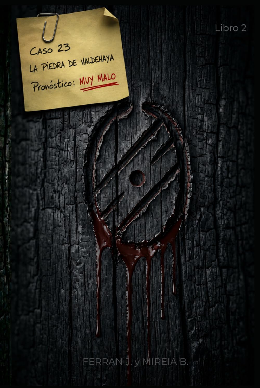 LA PIEDRA DE VALDEHAYA - (Libro 2 del Haya Negra): La sangre paga lo que la sangre debe — Terror sobrenatural basado en vivencias reales (El Haya Negra · Libro 2) (LA SAGA DEL HAYA NEGRA)
