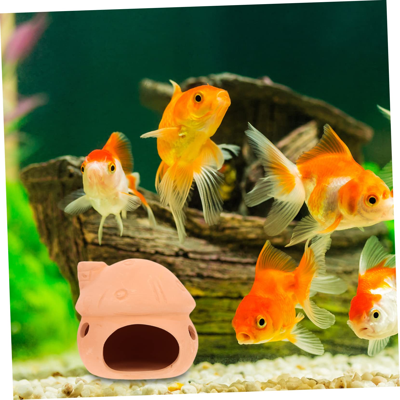 Sosoport 5 Sätze Garnelennest Garnelendosen Aquarienversteckfelsen Zubehör Für Aquarien Fischversteck Keramik Fischhöhle Schleichtiere Kleines Aquarium Aquarienlandschaftsdekore 2 Stück * 5