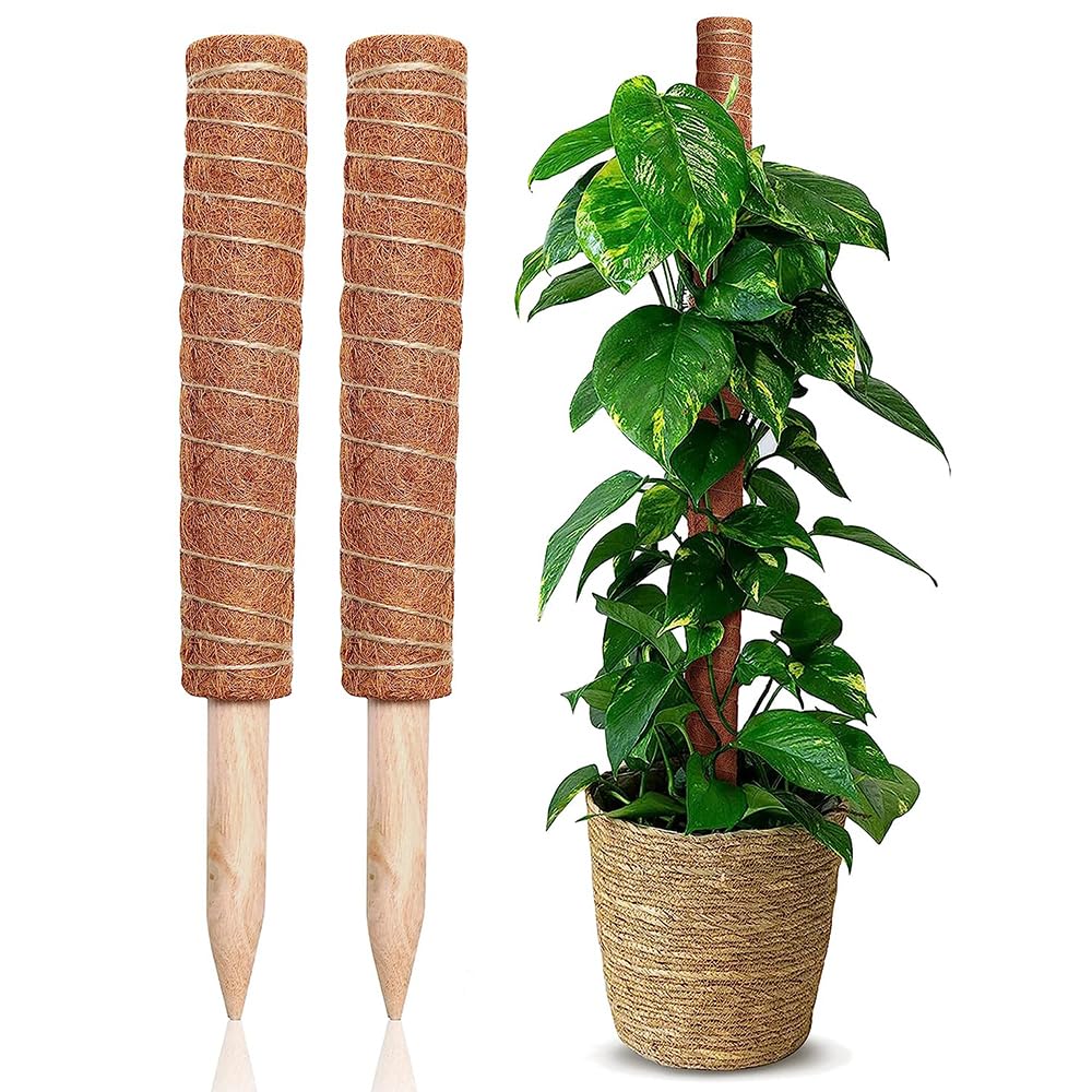 See full amazon price history chart for Allkartz - Moss Sticks for Plants - Moss Pole Holder Monstera Plant Support - Train Indoor Climbing Plants to Grow Upwards - Coco Coir Totem Stakes - Potted House Vine Trellis Extends Pack of 2 Allkartz - Moss Sticks for Plants - Moss Pole Holder Monstera Plant Support - Train Indoor Climbing Plants to Grow Upwards - Coco Coir Totem Stakes - Potted House Vine Trellis Extends Pack of 2 (B0C8SMT6MK) Amazon Price History, Amazon Price Tracker