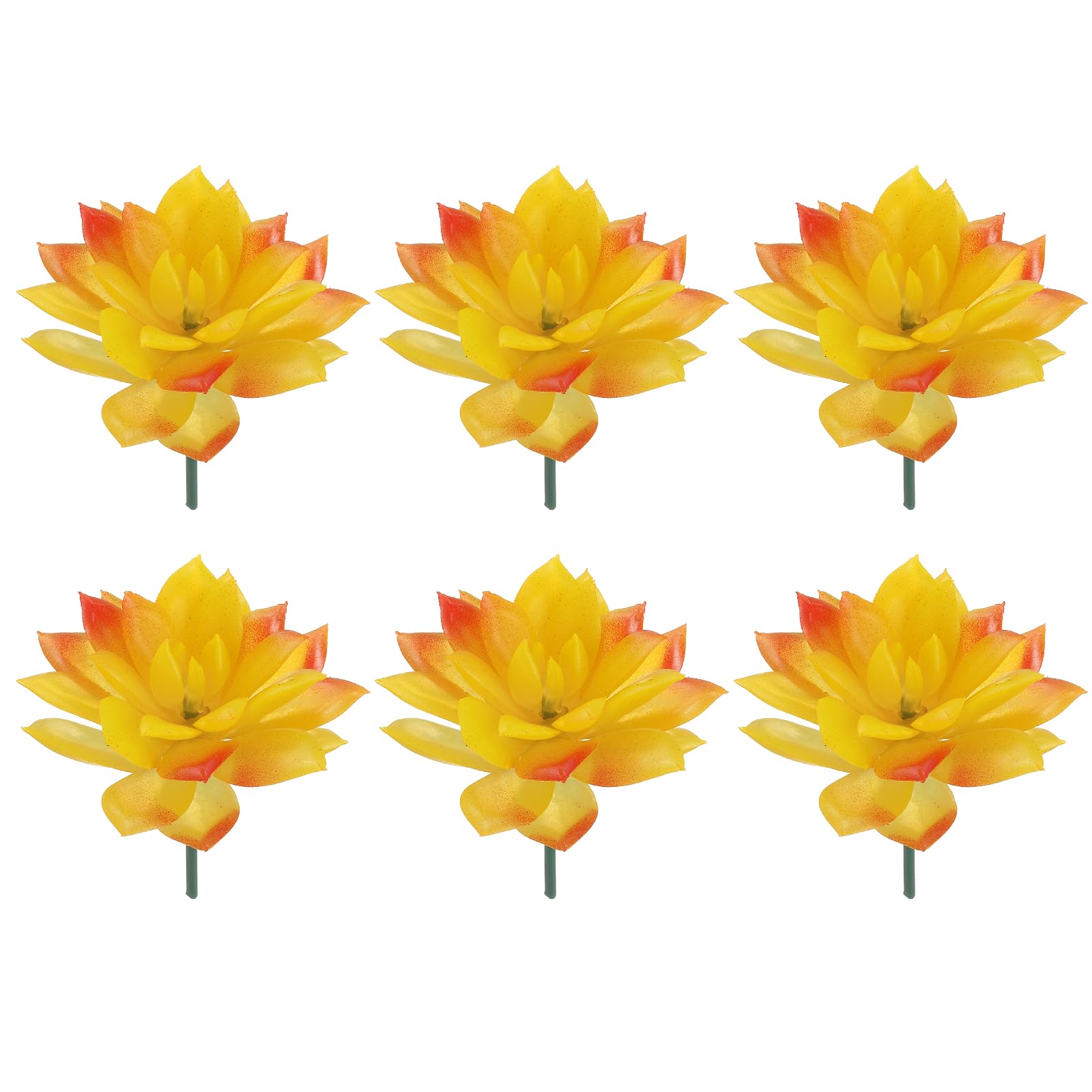 Plantes succulentes artificielles lot de 6 pour décoration de bureau et maison