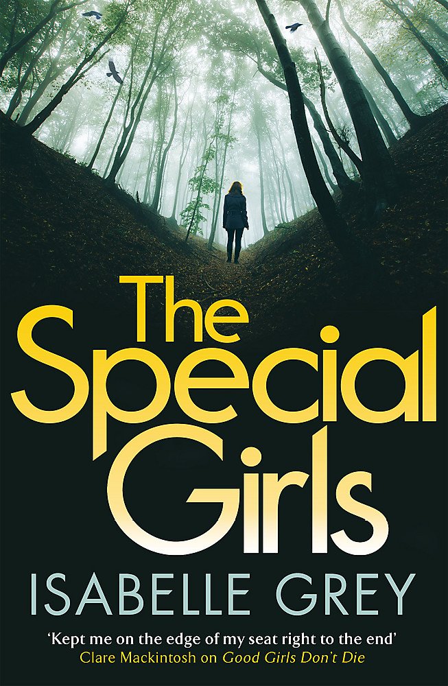 The Special Girls: A gripping summer thriller read full of shocking twists
