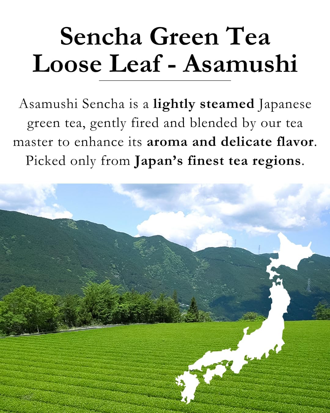 Emptea Sencha Loose Leaf Japanese Green Tea (Organic) - Asamushi First Harvest, Light Steamed, Floral & Aromatic, Authentic Tea Blend from Japan 2.82oz (80g)