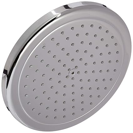 Hansgrohe 26478001 2.0 GPM Croma 220 Showerhead, Chrome Finish