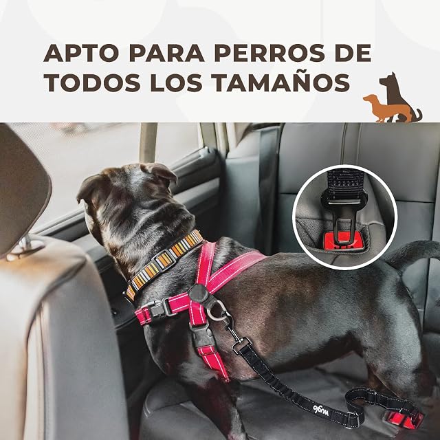 Foto 5 de 7 de WUGLO Cinturón Perro Coche