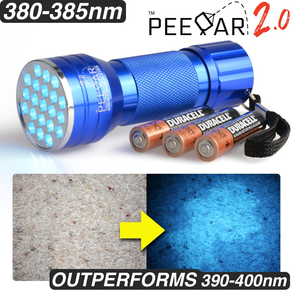 10 Best Cat Urine Detectors 2023 Reviews & Ratings