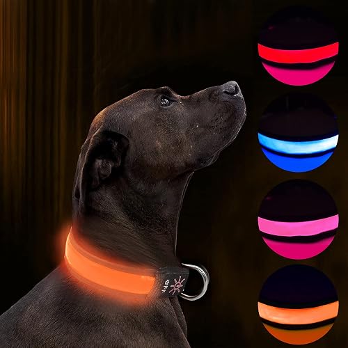 Collar LED Iluminado USB Recargable Impermeable para Perro, Banda Nocturna Con 3 Modos de Brillo