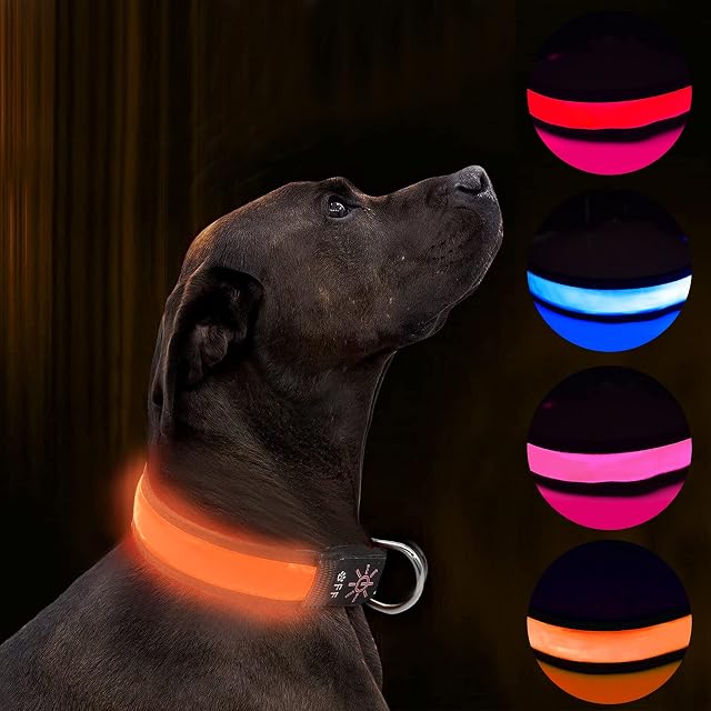 Collar LED Iluminado USB Recargable Impermeable para Perro, Banda Nocturna Con 3 Modos de Brillo