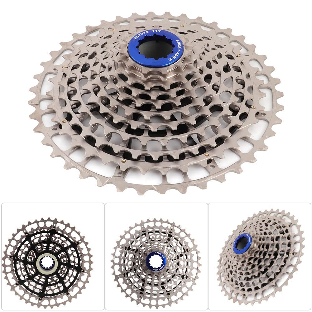 Pignone a ruota libera 11 marce 42T accessorio di ricambio (11-42T)