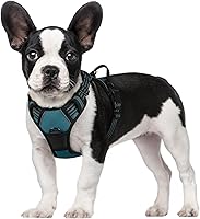 Vista 127 de rabbitgoo Arnés para perro, arnés sin tirones para mascotas con 2 clips para correa, chaleco acolchado suave ajustable para perro, chaleco Oxford