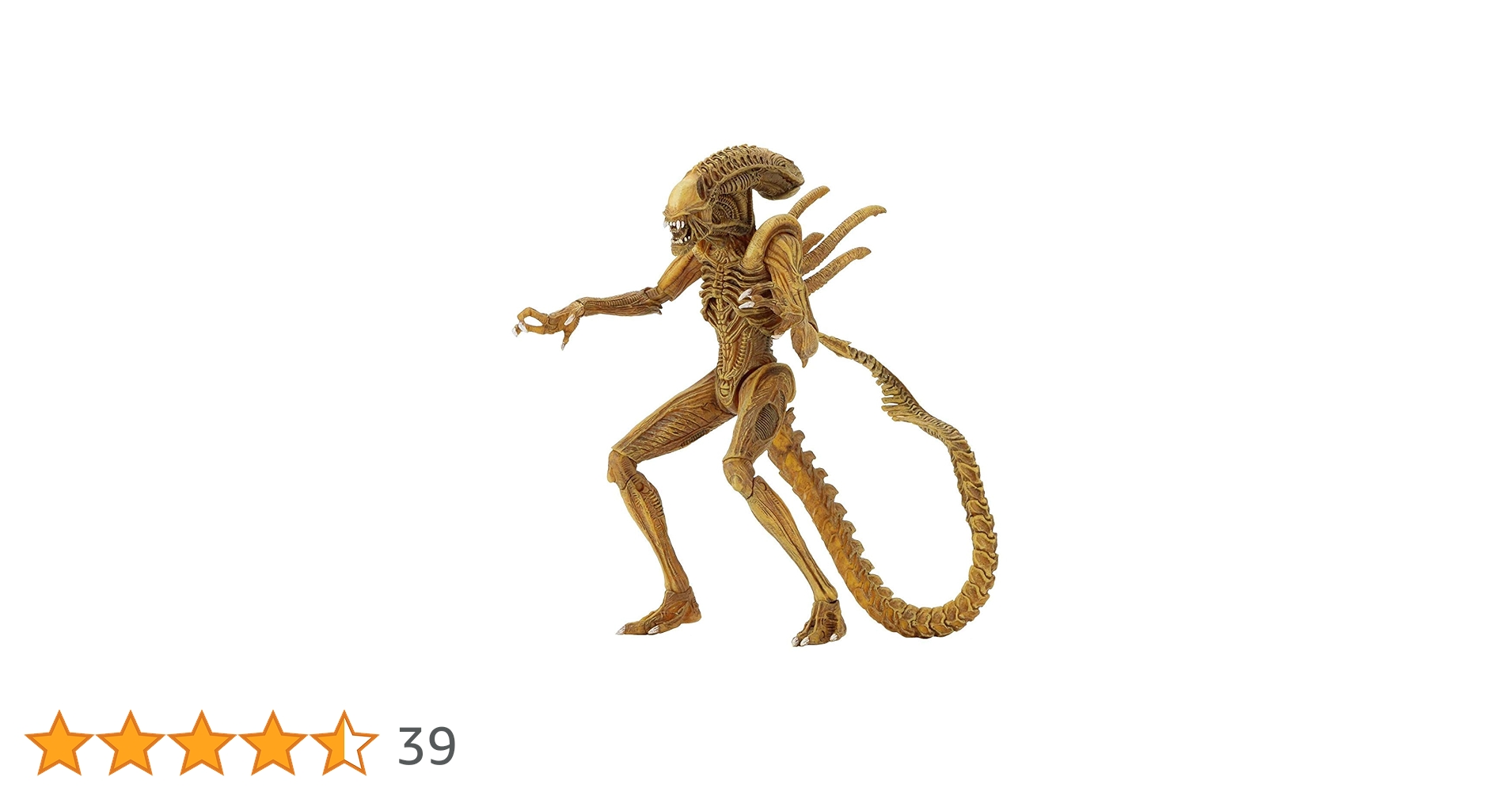 71tp9A1UqeL.jpg_BO30,255,255,