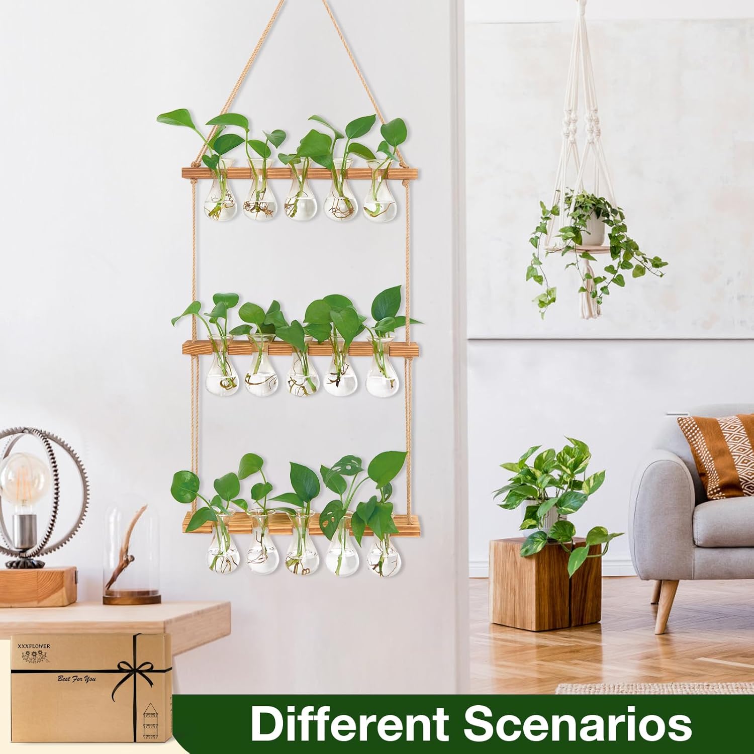 XXXFLOWER Wall Hanging Propagation Station with Wooden Stand 5 Bulb Vase 3 Tiers Planters Wall Terrarium for Home Office Plant Hanger Flower Vases Wall Decor - Image 4