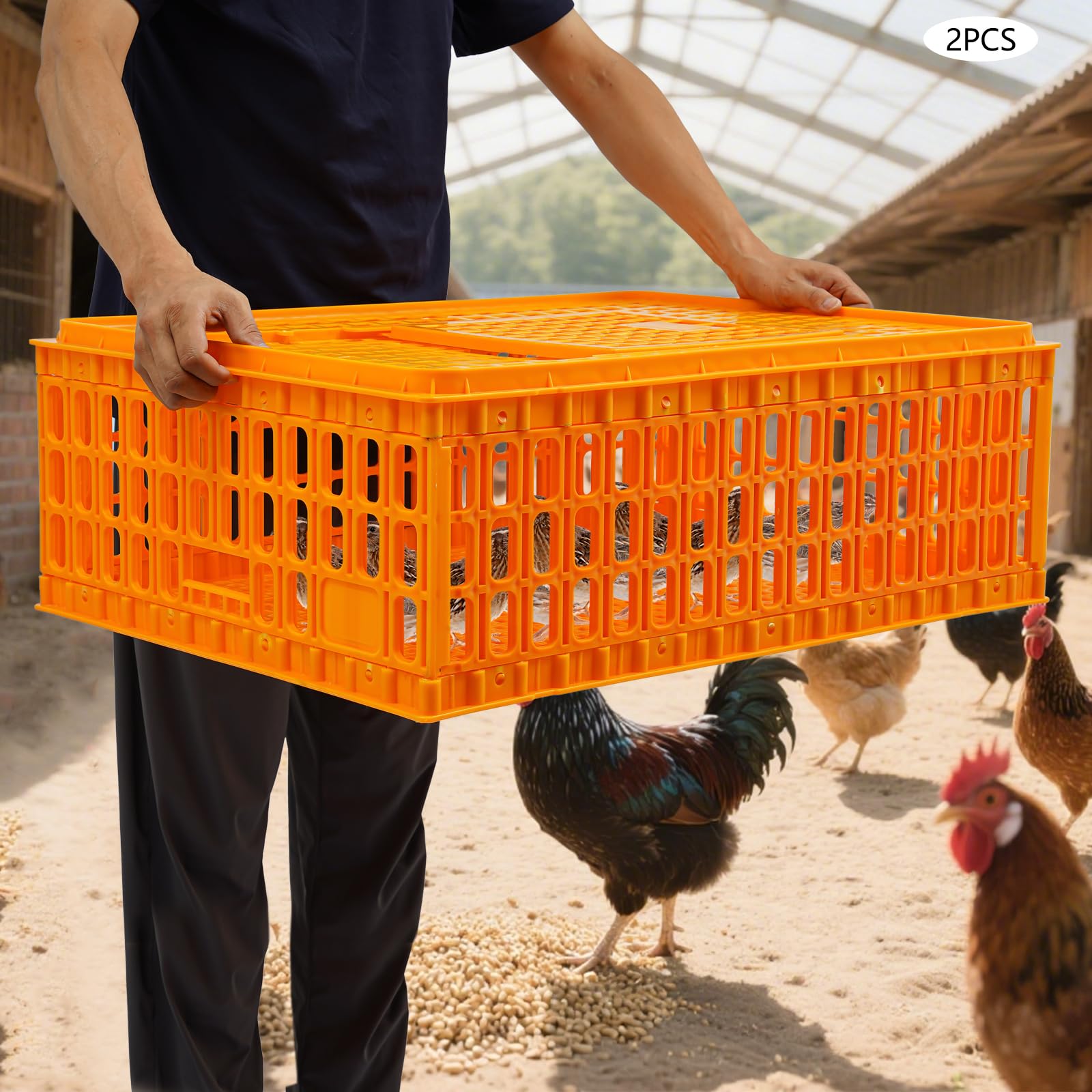 Sintuff 2 Geflügeltrage Kiste Kunststoff Huhn Transportkäfig,77x55x27cm,für Geflügel Huhn Vogel Ente Gans,maximale tragkraft ca. 200 kg,Vogelträger Hühnerträger Reisekiste Box