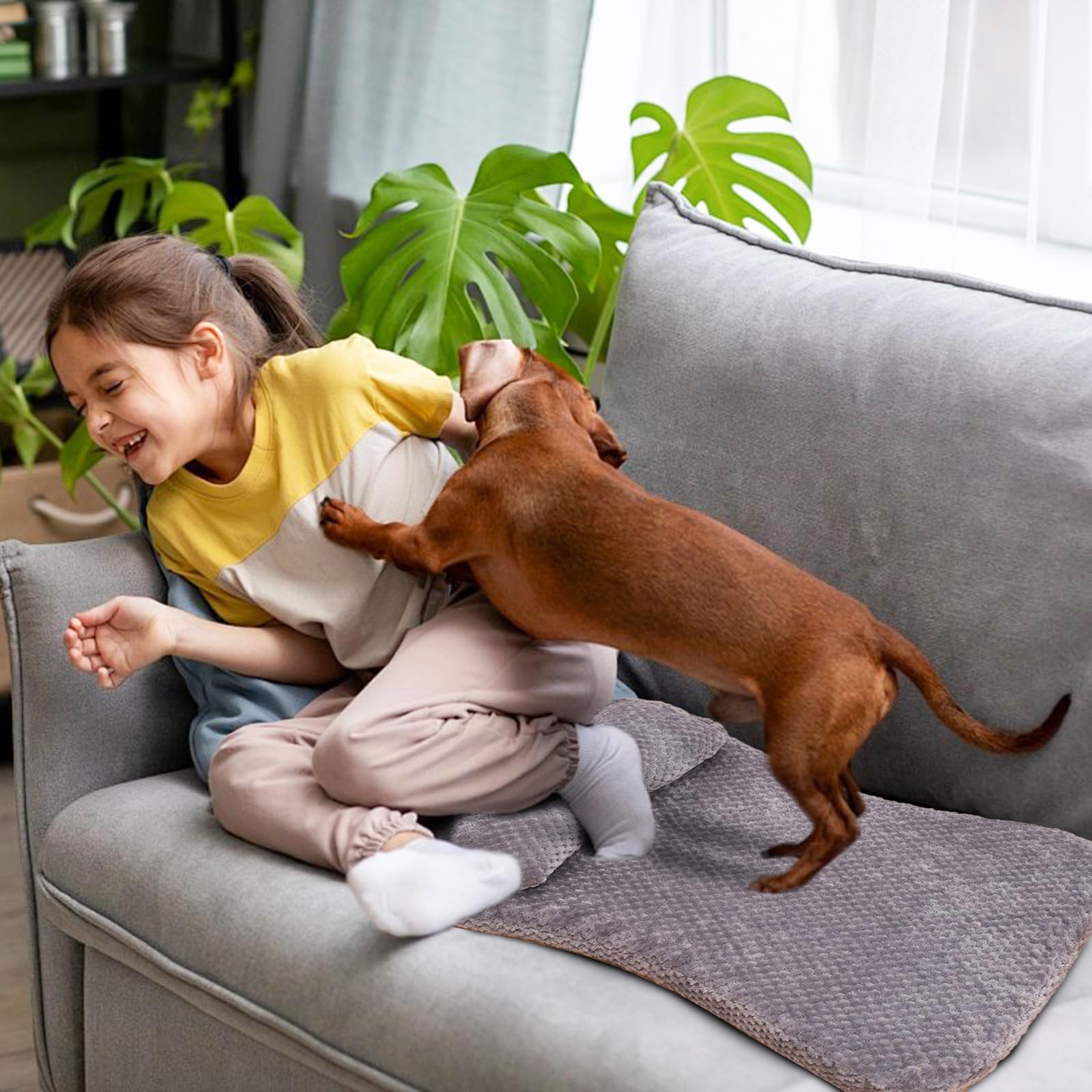 PETCUTE Tapis Chat Tapis Chauffant Chat sans Électricité - Tapis Chien Lavable, Coussin Fixe Intégré, Housse Amovible Lavable en Machine Et Surface Antidérapante，S-Gris