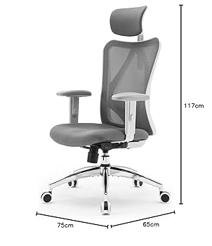 ピックアップのみ - SIHOO M18オフィスチェア人間工学に基づいたデザイン SIHOO M18 オフィスチェア