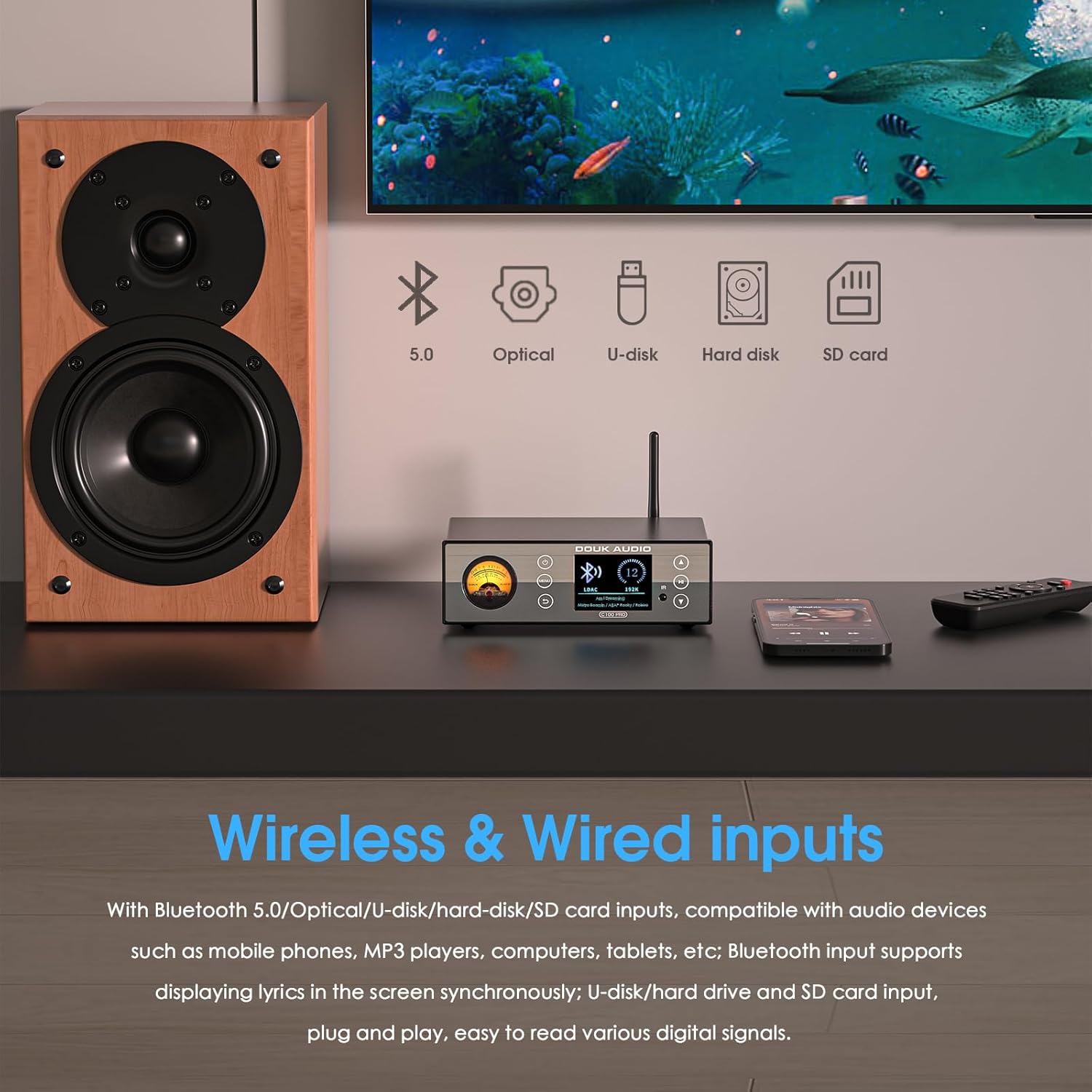 Douk Audio C100 PRO wireless and wired inputs