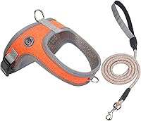 Mengbeitribe No Pull Dog Harness & Leash Set - Breathable Mesh Adjustable Reflective Vest for Small Dogs & Cats (Orange, XS)