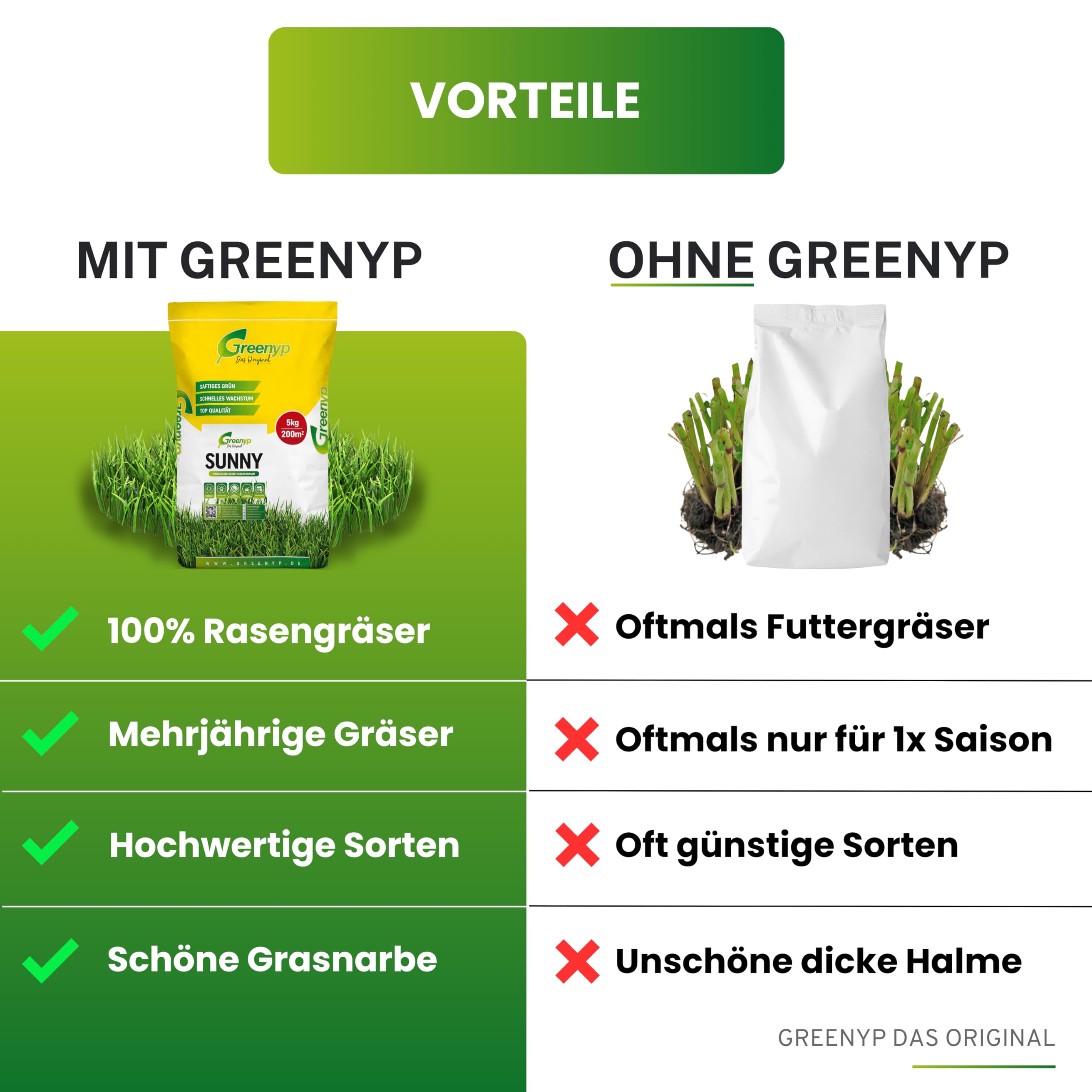 Greenyp® Sunny I dürreresistenter Trockenrasen I 5kg für 200m² I Grassamen Rasensamen Rasensaat Gras Nachsaat schnellkeimend