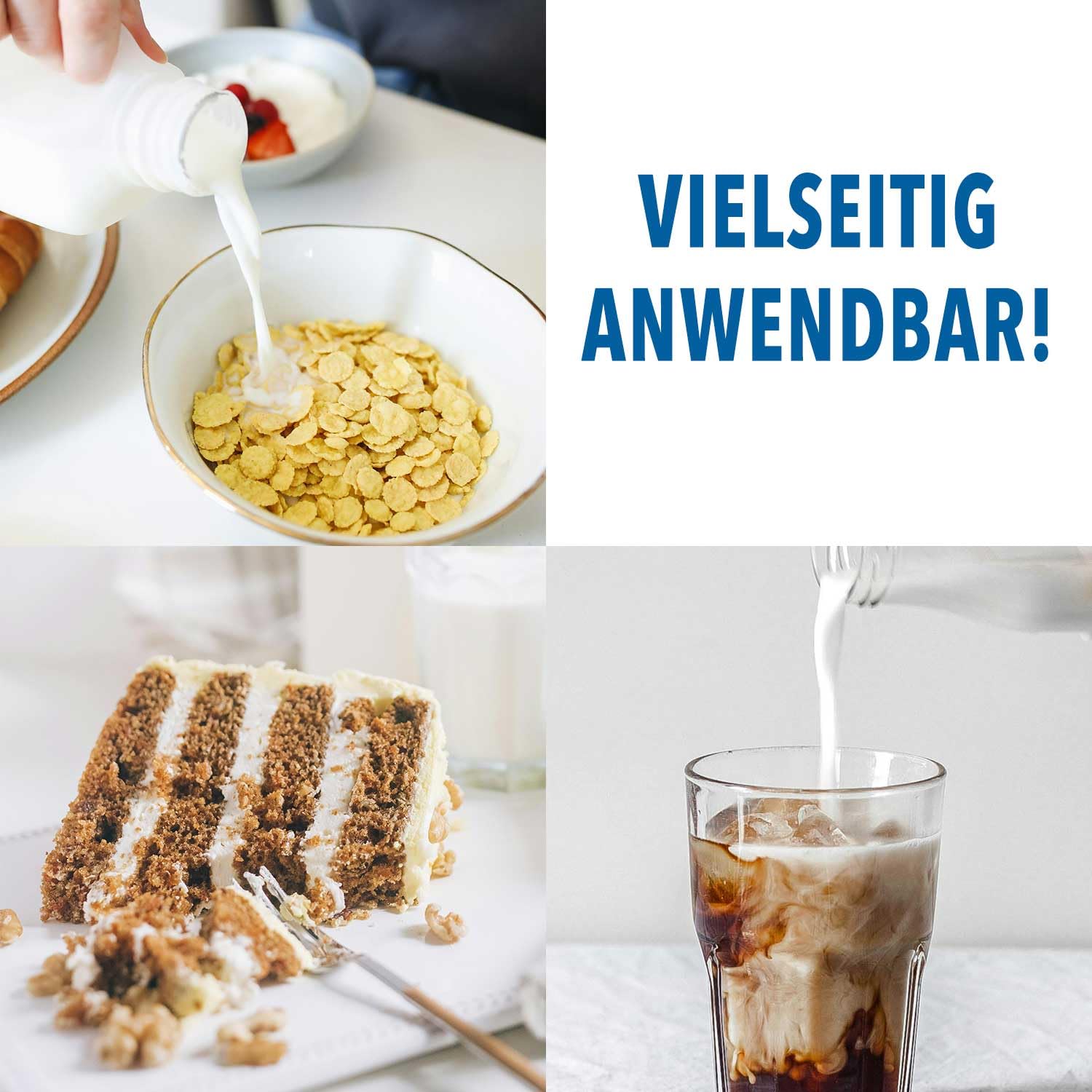 GOLDEN PEANUT Magermilchpulver 5 kg fettarm sprühgetrocknet lange haltbare Eisherstellung
