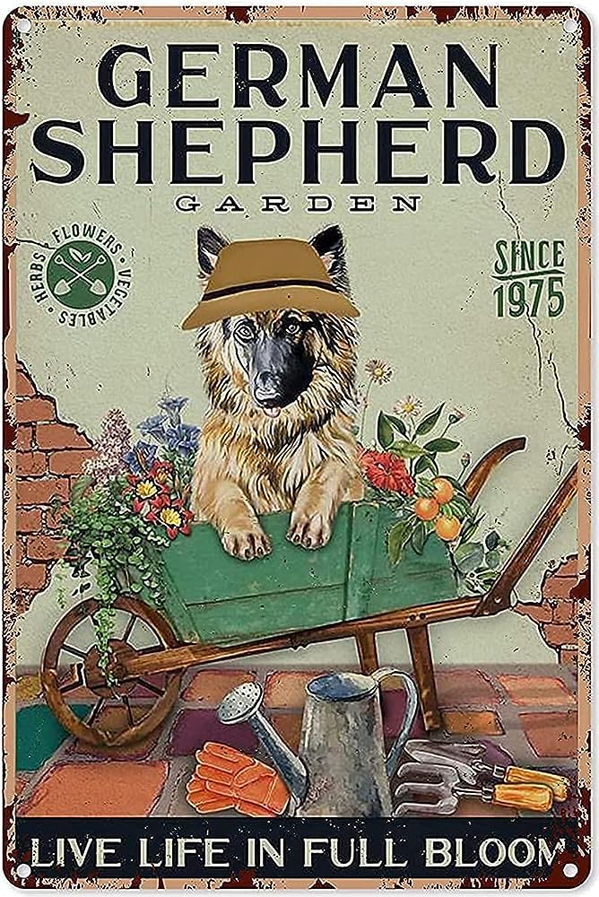 Yunking A161 Metal Tin Sign German Shepherd Garden Aluminium Sign Retro Tin Signs Vintage Metal Tin Sign For Bar Home Wall Metal Decoration 8X12inches