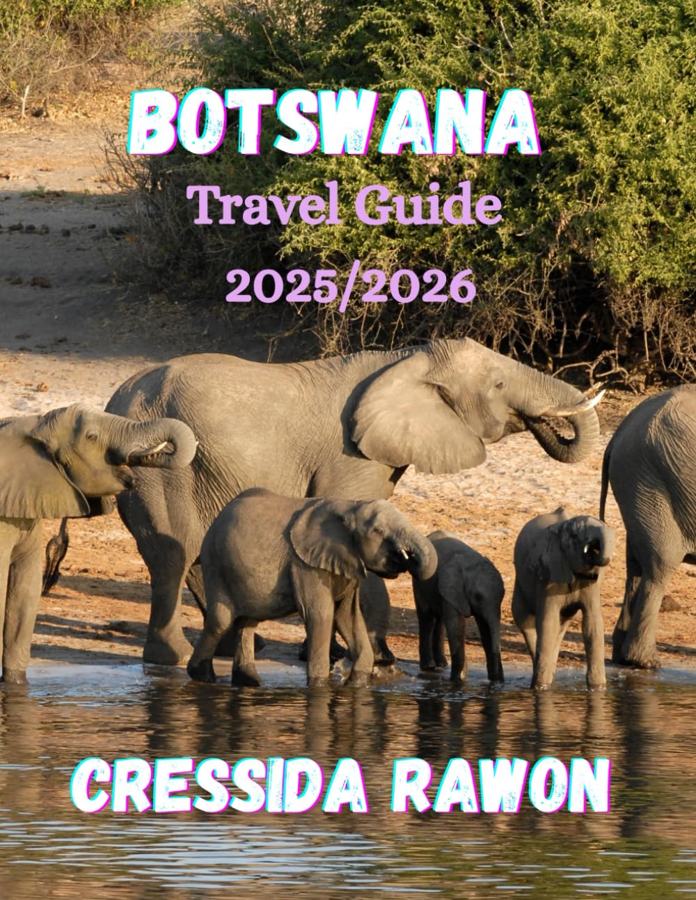 Botswana Travel Guide 2025/2026: Explore Okavango Delta, Chobe, and the Kalahari — The Ultimate Botswana Safari and Travel Guide 2025/2026