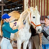 Vista 6 de Tanlade Paquete de 8 anillos de peine de curry de 4 anillos, cepillo de curry de metal, suministros de fiesta Derby, raspador reversible de acero