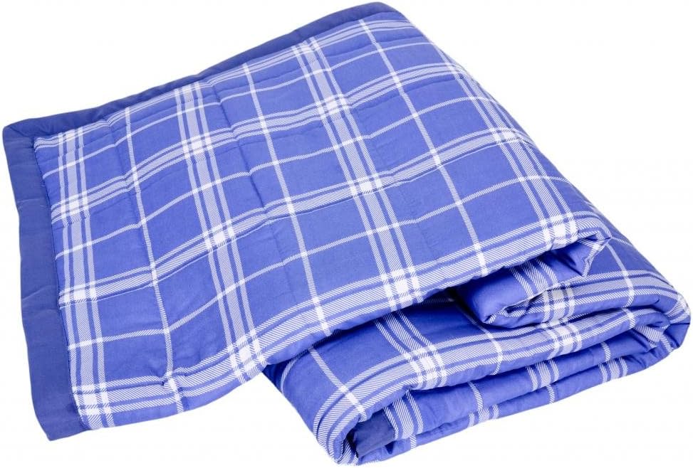 Down Alternative Blanket,Blue Plaid King Home & Kitchen