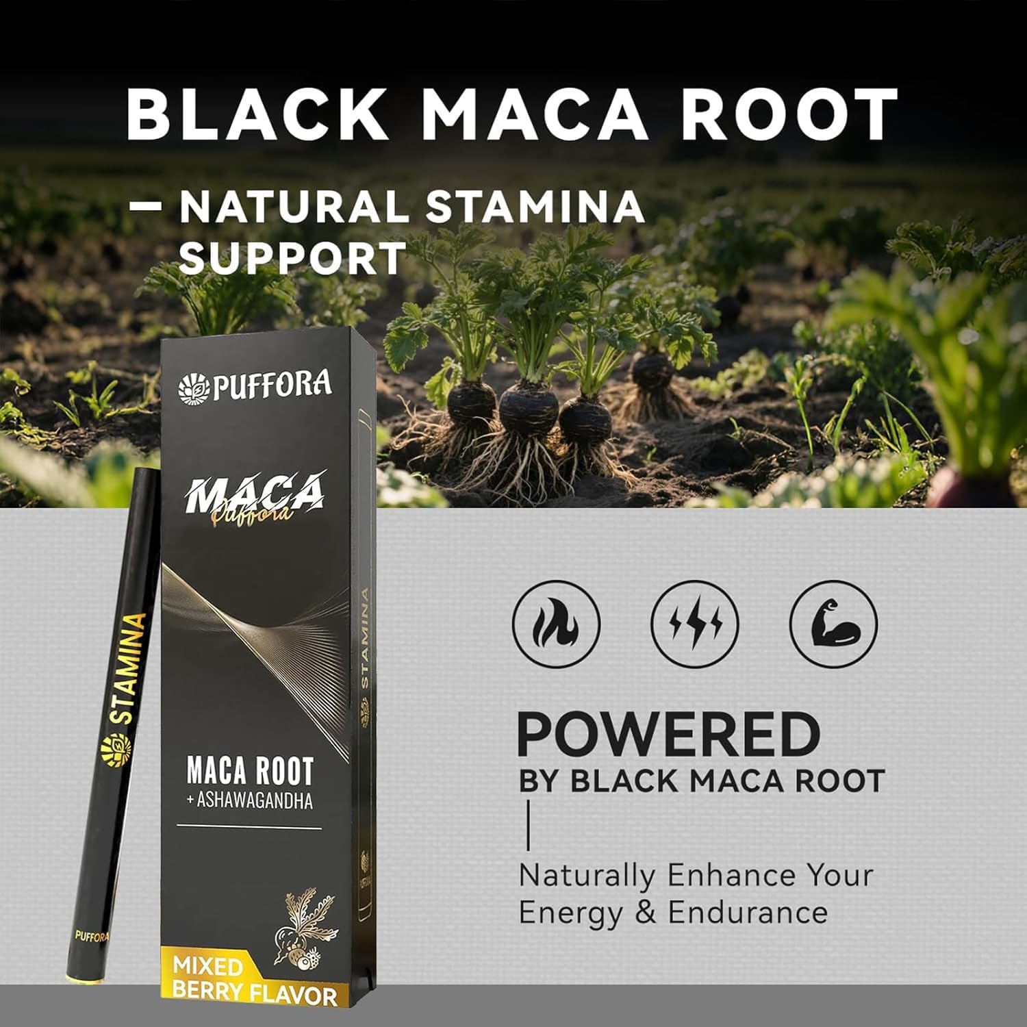 Herbal Aromatherapy Pens, Herby Pen, 4 Pack, 2400 Uses, Lung Rest | Energy Boost, Mullein, B12 | C, Break Bad Habits, Plant-Based