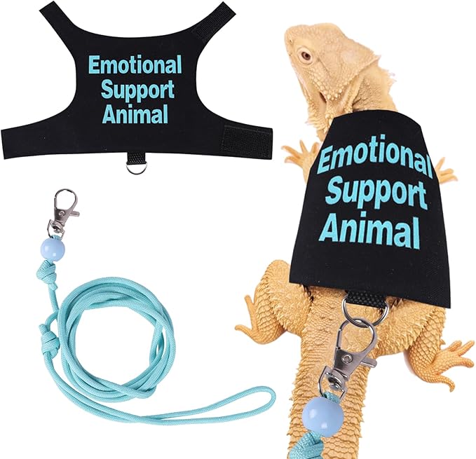 Bearded Dragon Harness and Leash Set Adjustable Reptile Lizard Leash Rope Vest Clothes Starter Kit Accessories for Small Animal Outdoor Walking Training